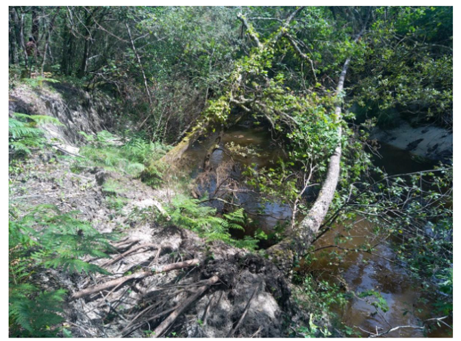 Zoom sur les travaux sur le canal du Porge et de Lège : enlèvement des arbres chutés lors des crues et des pitts non tit