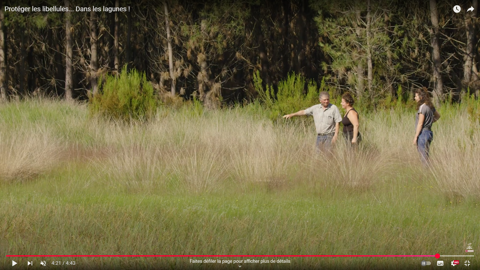 Une vidéo sur les lagunes forestières à Hourtin